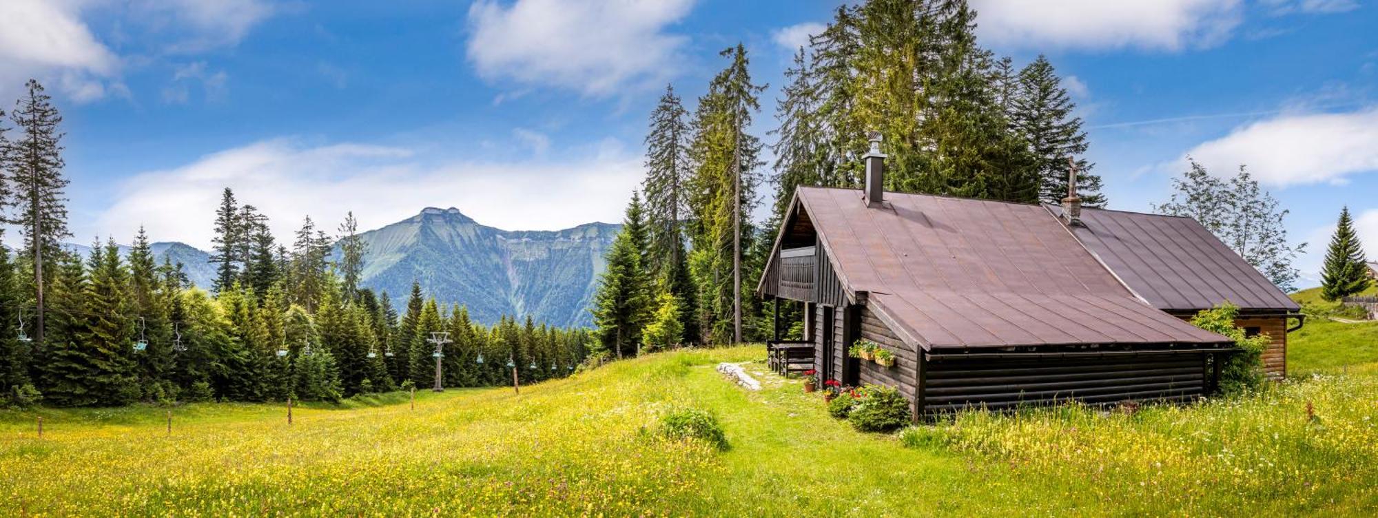 Schnaitstadl-Alm Selbstversorgerhuette Krispl Екстер'єр фото